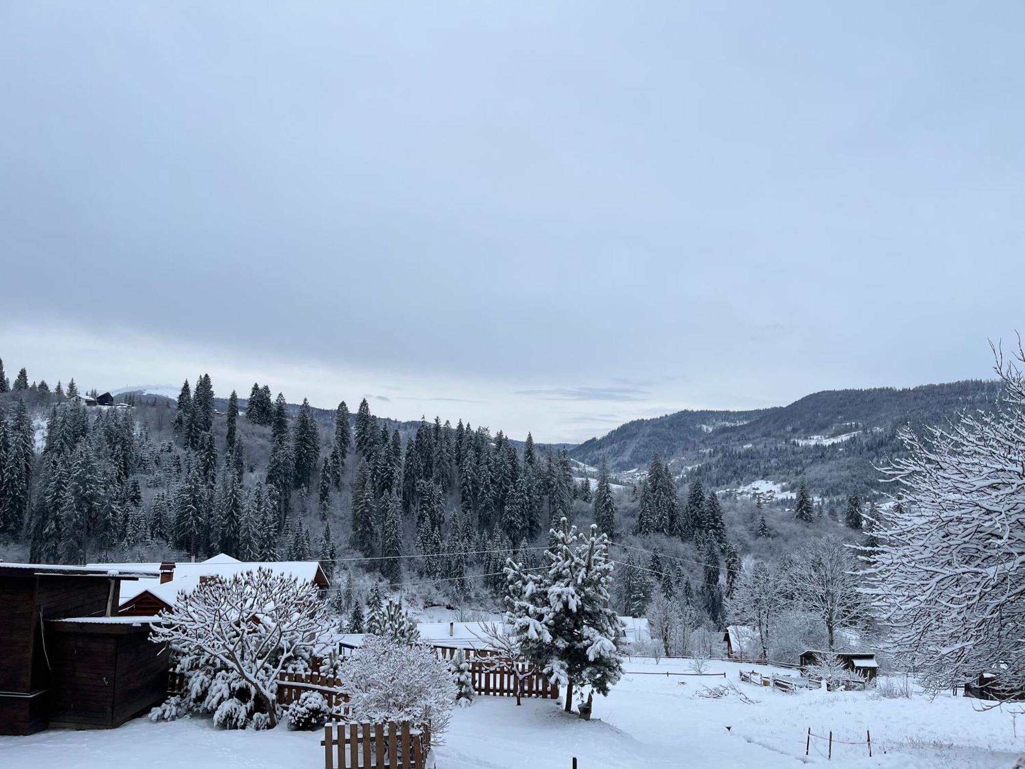 Hirska Vatra Villa Slavske Exterior photo